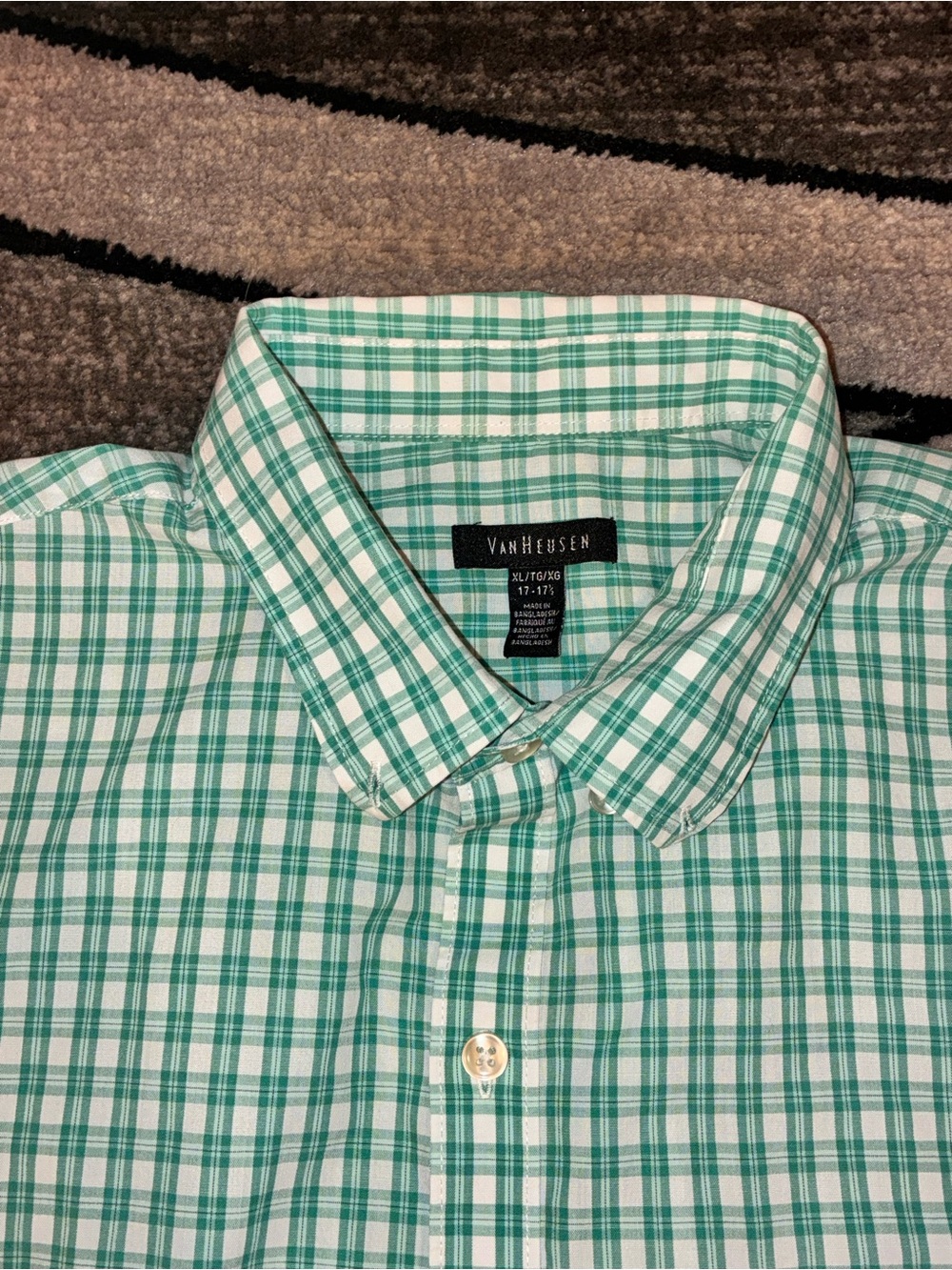 Van Heusen Green and White Checked Button-Down Shirt